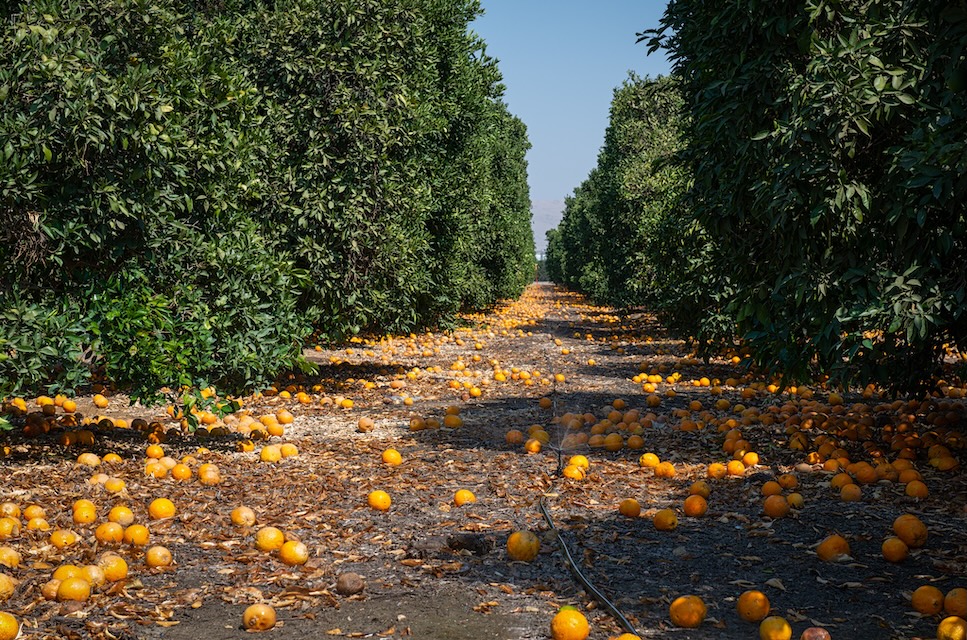 Representative project image