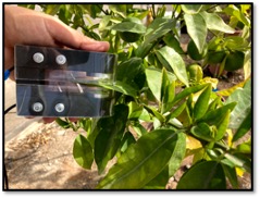 In field measurement